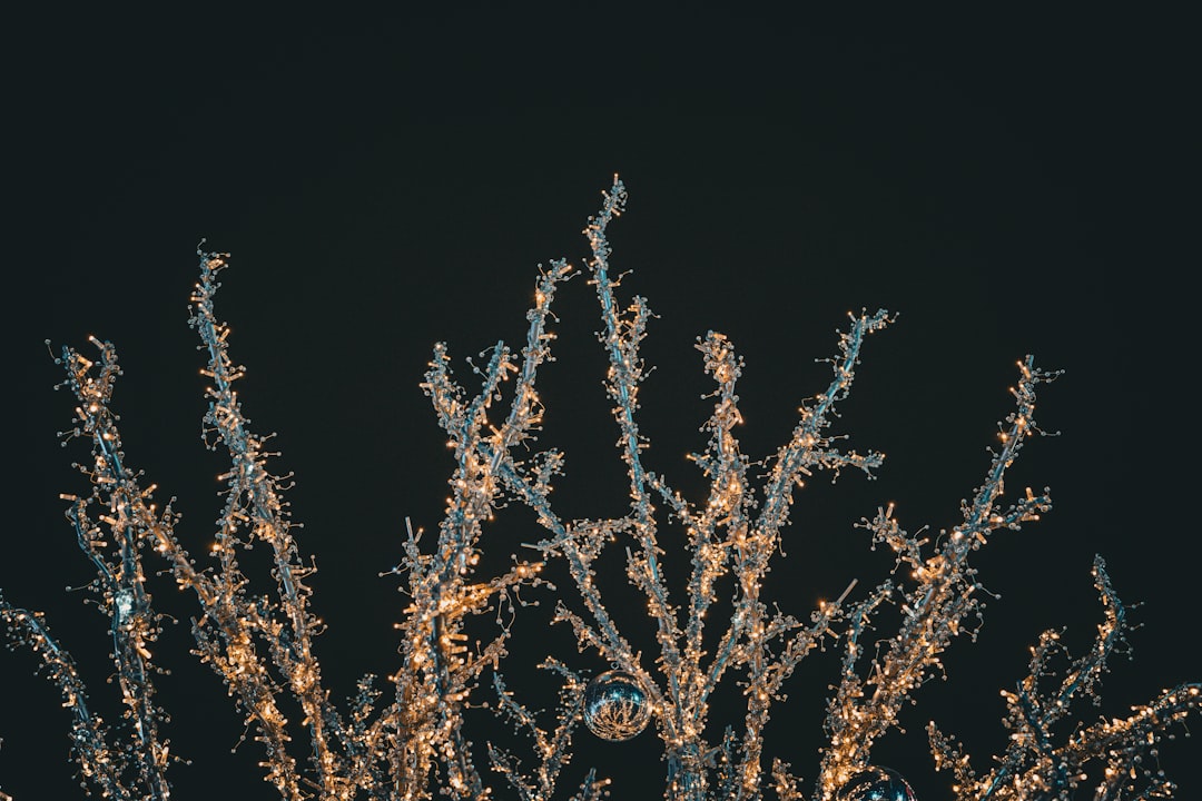 Photo Elegant design