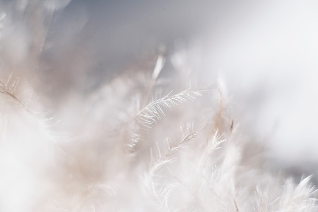 Photo Soft fabric